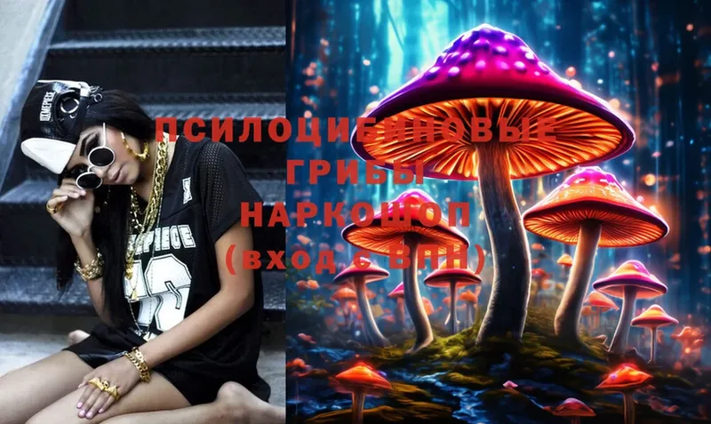 Псилоцибиновые грибы Cubensis Аргун